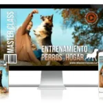 10 Secretos Revelados de Entrenamiento para Perros de Hogar